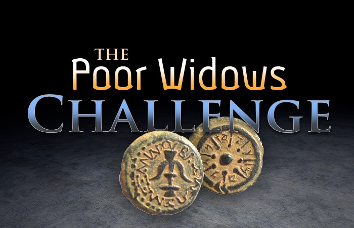 The Poor Widows Challenge