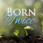 Born again in the Bible