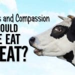 Should believers eat meat?