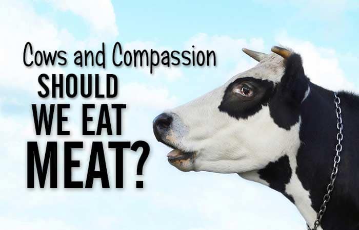 Animals and Compassion (Should we eat meat?) 