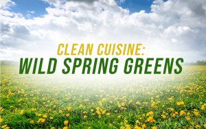 Clean Cuisine - Wild Spring Greens